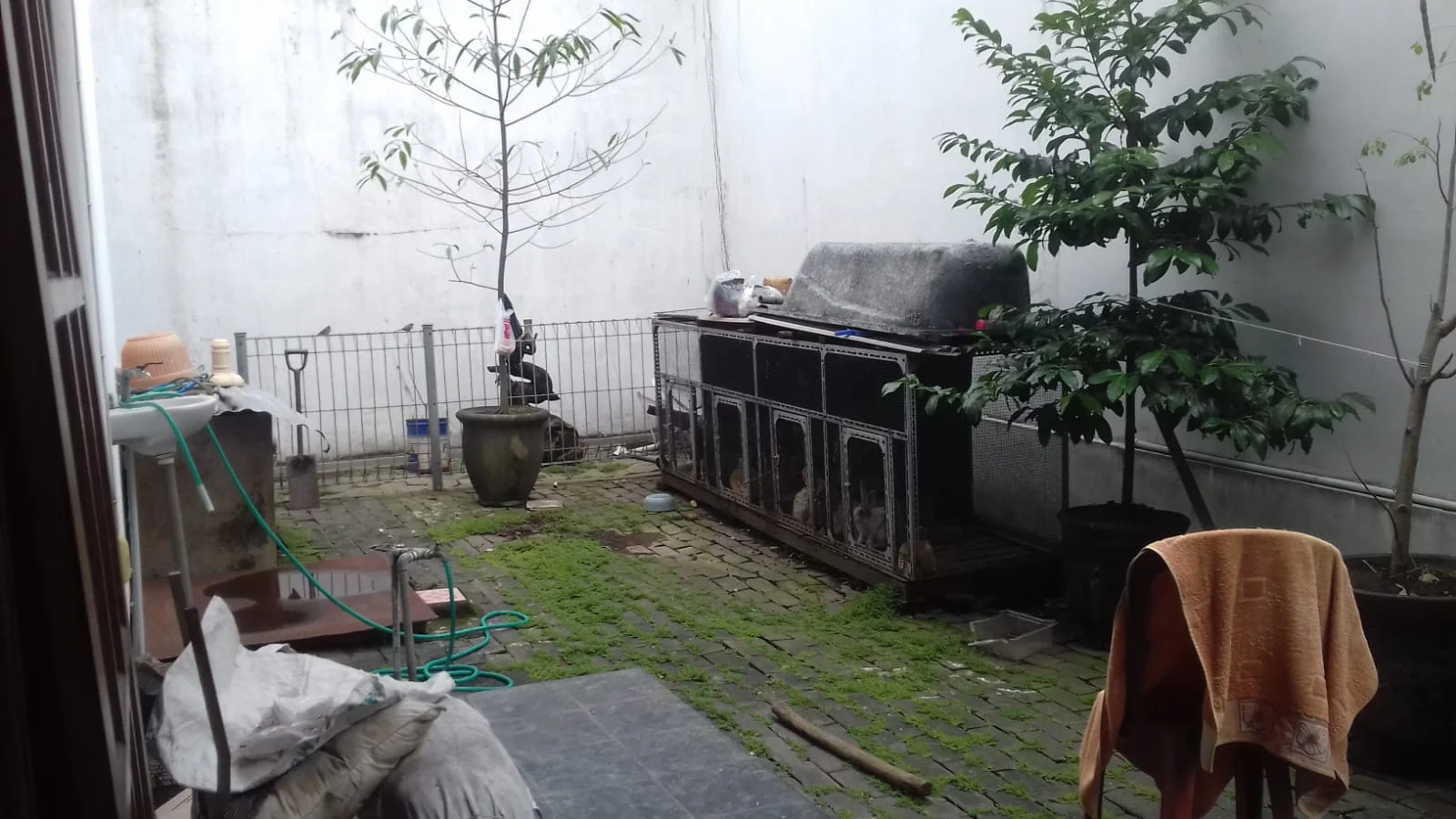 Rumah Besar 621m2 Jalan Bunga2 Lowokwaru Dekat Kampus UB Malang-2