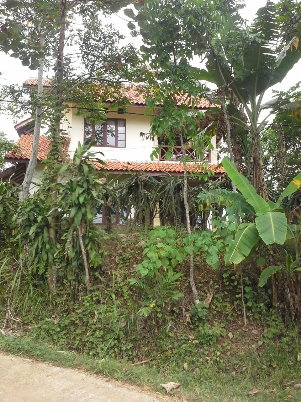 Lahan Kebun 2.9 Ha di Kawasan Wonosalam Training Center Jombang-1