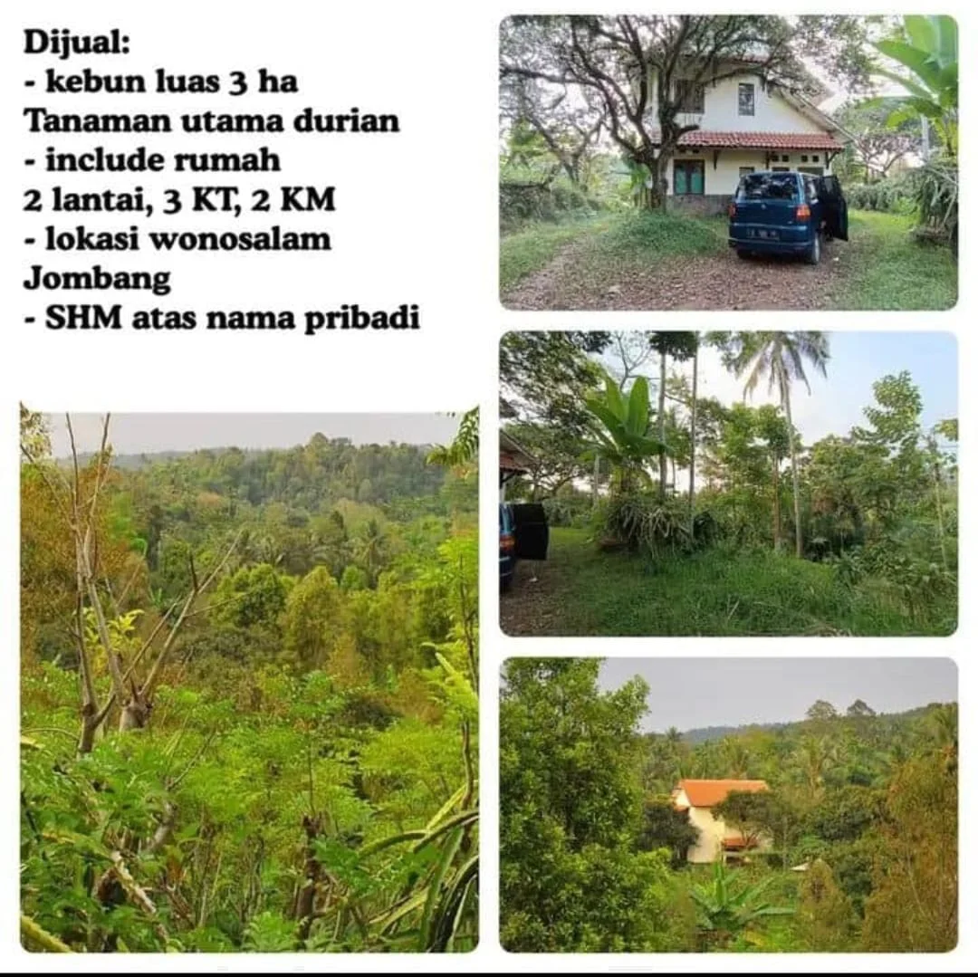 Lahan Kebun 2.9 Ha di Kawasan Wonosalam Training Center Jombang-4