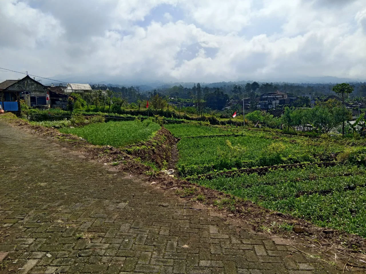 Tanah Dijual Murah! View Bagus Pegununungan Depan Hotel Purnama Bumiaji Kota Wisata Batu-4