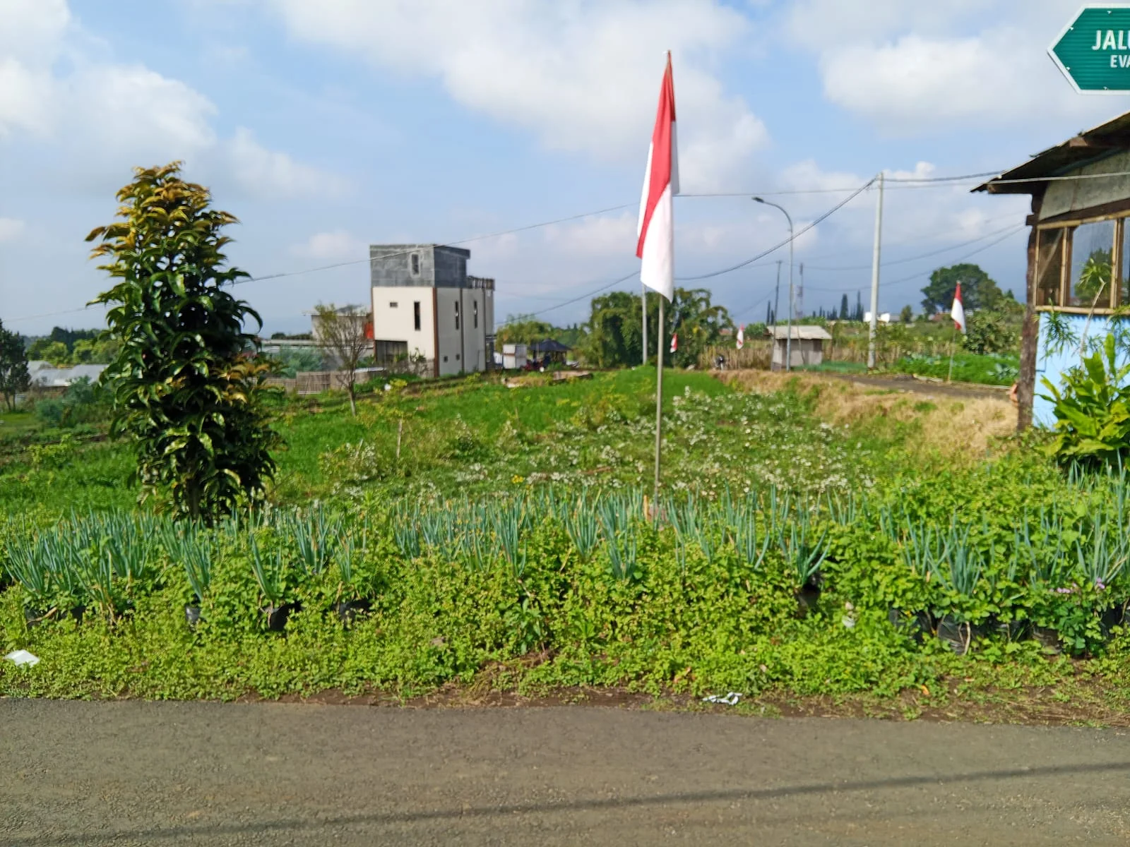 Tanah Dijual Murah! View Bagus Pegununungan Depan Hotel Purnama Bumiaji Kota Wisata Batu-3