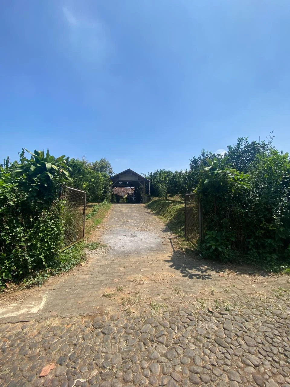 Lahan Kebun Jeruk 3.418m2 Bumiaji Kota Wisata Batu-1
