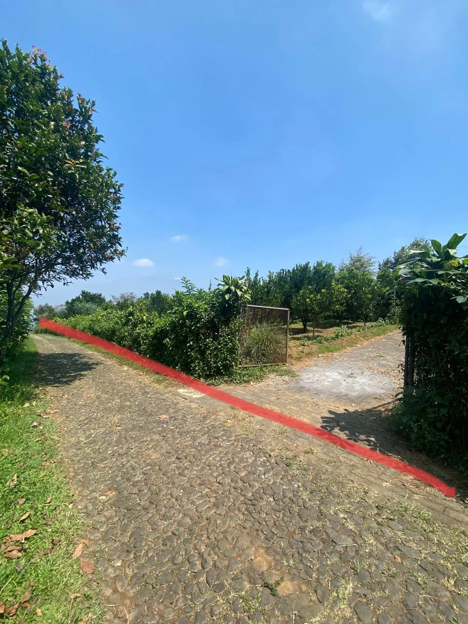Lahan Kebun Jeruk 3.418m2 Bumiaji Kota Wisata Batu