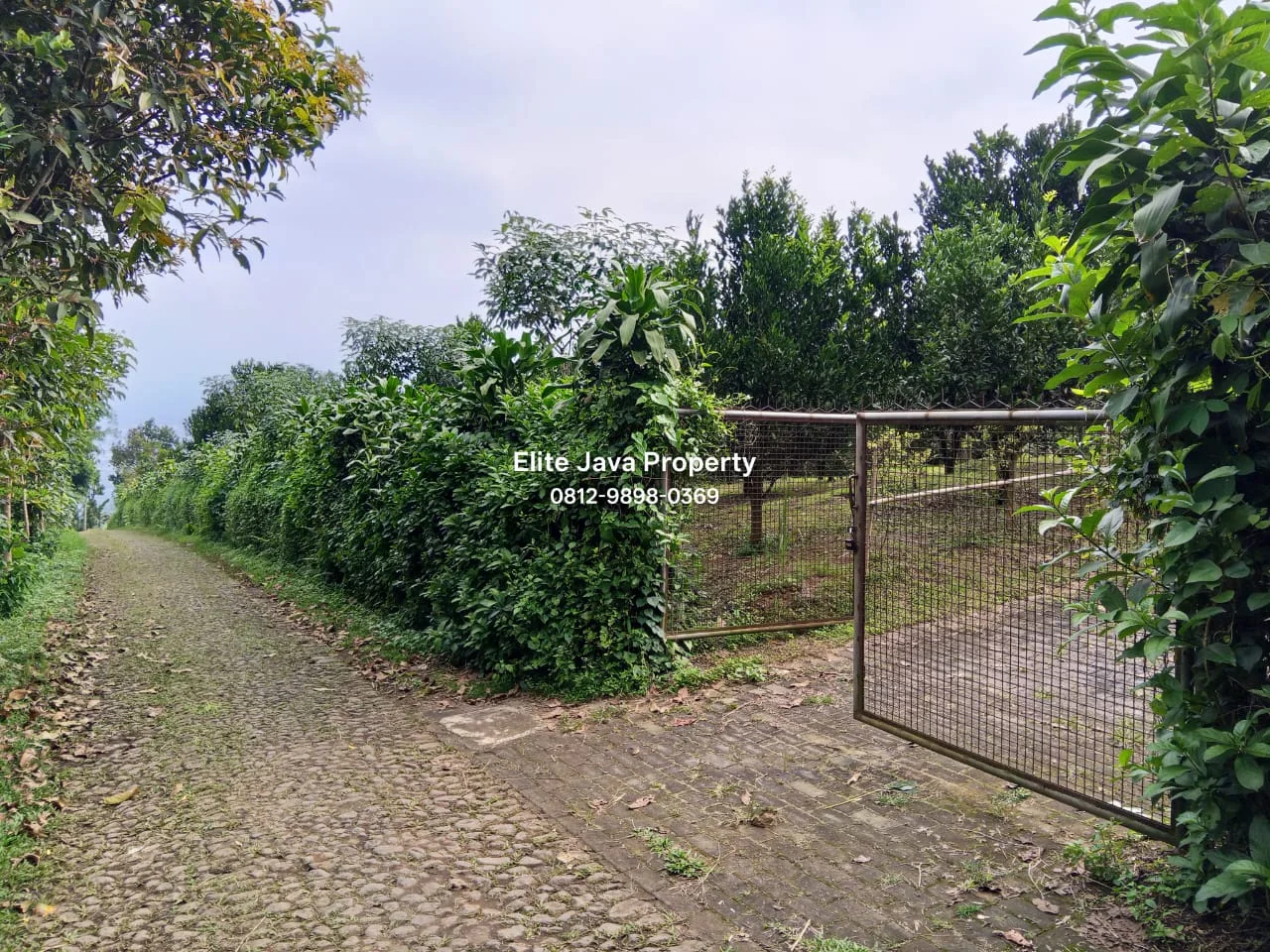 Lahan Kebun Jeruk 3.418m2 Bumiaji Kota Wisata Batu-6